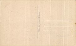 CPA Les Pyrenees Les Grottes De Betharram Les larmes figees