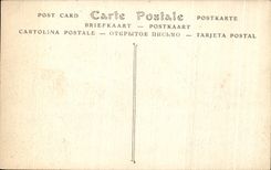 CPA Chateau de Chambord Les Bords du Cosson