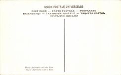 CPA Mine Vigee Lebron Marie Antoinette a la Rose Musee De Versailles