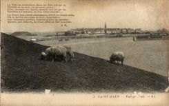 CPA Saint Malo Vue Generale Moutons 
