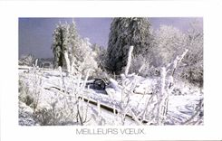 CPSM Meilleurs Vceux