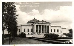 CPA John Shedd Aquarium Grant Park Chicago