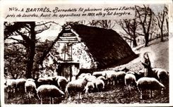 CPA Bartres bernadette Moutons 