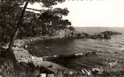 CPA La cote D'Azur St Raphael Parc Santa Lucla