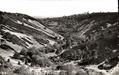 CPA Les Alpes Mancelles St Leonard des Bois La valllee de Misere