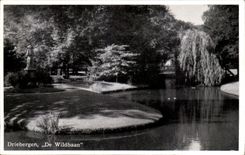 CPA Driebergen De Wildbaan