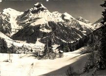 CPA Engelberg mit Hahnen