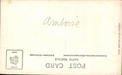 Castillo de CPA Amboise