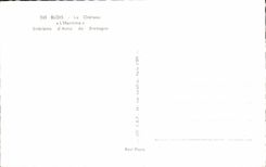 CPA Blois Le Chateau l'Hermine