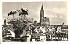 CPA Str Strasbourg View and the Nest of Storks