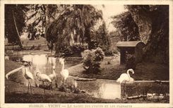CPA Vichy Le Dassin Des Cygnes Et Les Flamants
