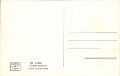 CPA Alger Square Bresson Allee de Palmiers