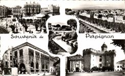 CPA Souvenir of Perpignan