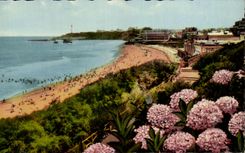 CPA Biarritz Les Hortensias et la Grande Plage