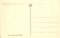 CPA Dans le vieux biskra Algerie 