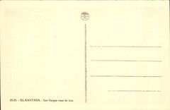 CPA El Kantara throats seen by far Algeria