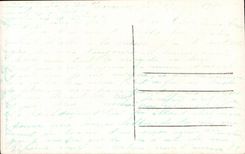 Flores de Santon de la fantasia de CPA