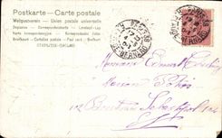 CPA Fantaisie Fleurs Oiseaux Hirondelles