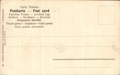 Flores de la fantasia de CPA