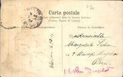 La fantasia de CPA florece el cisne