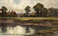 CPA Fantaisie Burnham Beeches Littleworth common 