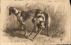CPA Chiens de chasse Hunting 