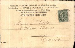 CPA Chiens de chasse Hunting 