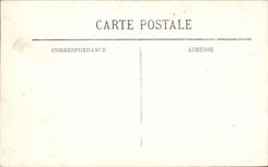 CPA Lourdes the procession