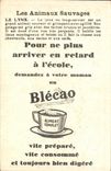 Chromo Les Animaux Sauvages Le Lynx Bledine