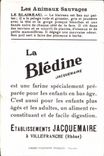 Chromo Les Animaux Sauvages Le Blaireau Bledine