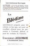 Chromo Les Animaux Sauvages La Fouine Bledine