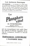 Chromo Les Animaux Sauvages Le Sarigue Bledine