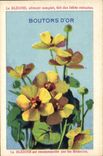 Chromo La bledine Boutons d'or