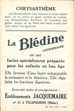 Chromo Bledine Chrysanthemes