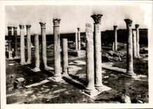 CPSM Tunisia Carthage