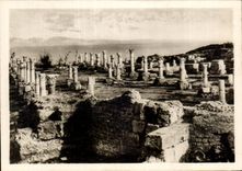 CPSM Tunisia Carthage