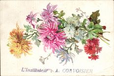 Chromo L lnstituteur a convoisier Moka Leroux Chrysanthemes