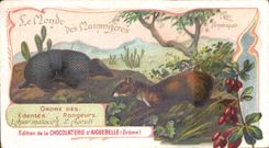 Chromo Chocolaterie d'Aiguebelle AmeriqueAgouti Apar malaco 