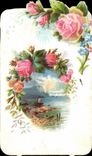 Chromo Chicoree Bouchain Cambrai Fleurs