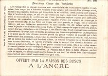 Chromo Offert Par La Maison Des Buscs A L'Ancre Palmipedes Cygne Canard 