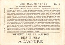 Chromo Les Mammiferes Les Bimanes La race blanche