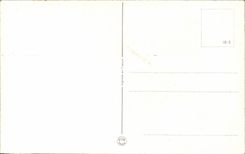 Flores de la fantasia de CPA