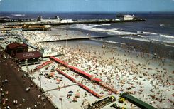 CPA Bathers And The Beach At Atlantic City A bird