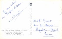 CPA Pittoresque Afrique Du Nord Picturesque norther Africa Scenes de la Palmerale