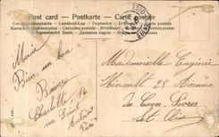 La fantasia de CPA florece rosas