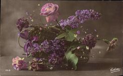 Flores de la fantasia de CPA