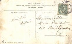 La fantasia de CPA florece palomas