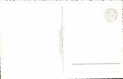 CPA Chateau de Chillon et Dents du Midi