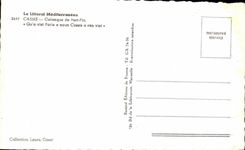 CPA Blackcurrant creek of port pine