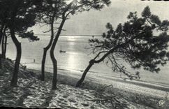 CPA Bassin d arcachon coucher de soleil 